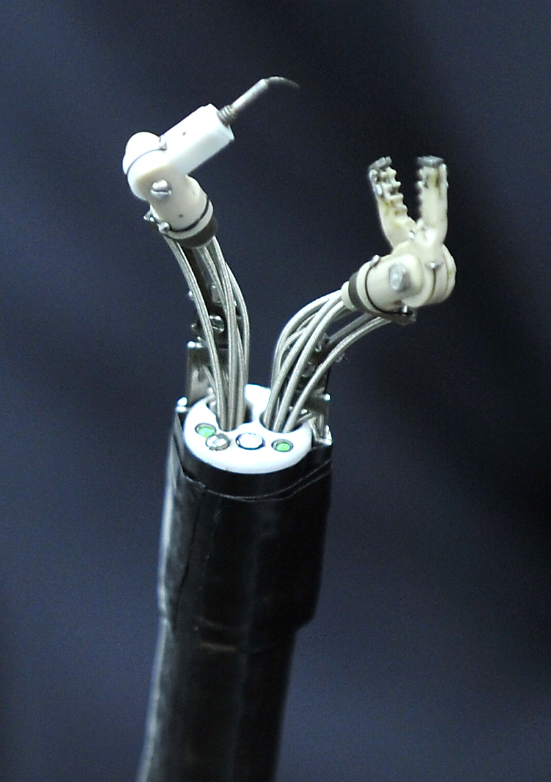 The newly designed delicate robotic arms attached to the ordinary endoscope can facilitate the performance of complex endoscopic surgery by extending the degree of movement through the two robotic arms