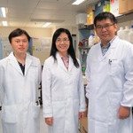 CUHK Discovers an Essential Oncogene in Non-Alcoholic Fatty Liver Disease-Associated Hepatocellular Carcinoma