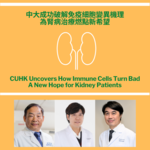 CUHK Uncovers How Immune Cells Turn Bad A New Hope for Kidney Patients