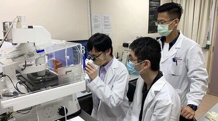 Study by CUHK medical students identifies STK3 kinase as a driver in gastric cancer