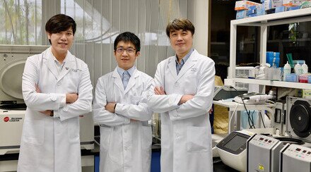 CUHK unlocks the secret of cancer pain  Identifying a new therapeutic key to ending the sorrow