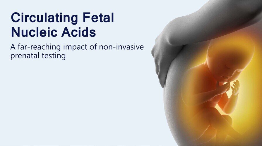 Research Flagship: Circulating Fetal Nucleic Acids