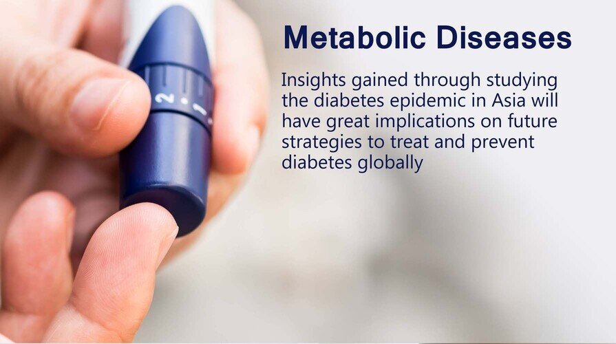 Research Flagship: Metabolic Diseases