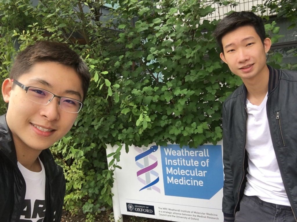 MRC Molecular Haematology Unit, the Weatherall Institute of Molecular Medicine, University of Oxford