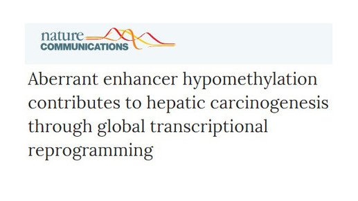 Epigenomics study for new intervention strategies of hepatocellular carcinoma