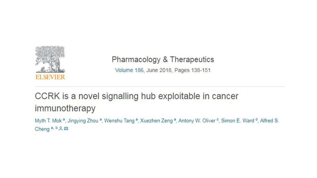 Cell Cycle-Related Kinase in Cancer Immunotherapy