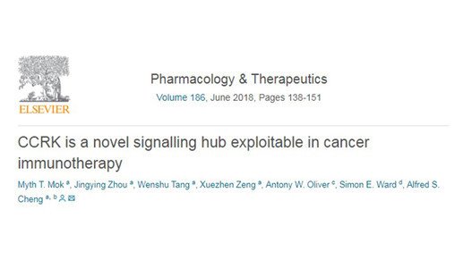 Cell Cycle-Related Kinase in Cancer Immunotherapy