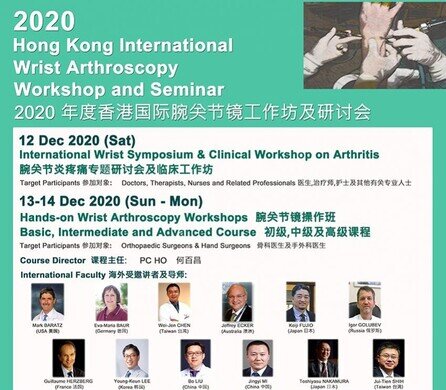 Hong Kong International Wrist Arthroscopy Workshop and Seminar