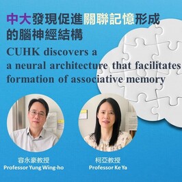 CU Medicine first in Asia to perform one-stage hybrid aortic arch surgery on patients with multi-segment thoracic aortic diseases using novel device