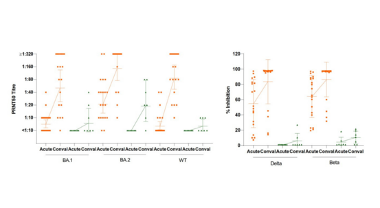 HKUMed-CU Medicine joint study shows that vaccinated individuals develop more robust and broadly reactive antibody responses against SARS-CoV-2 variants than the unvaccinated after an Omicron infection