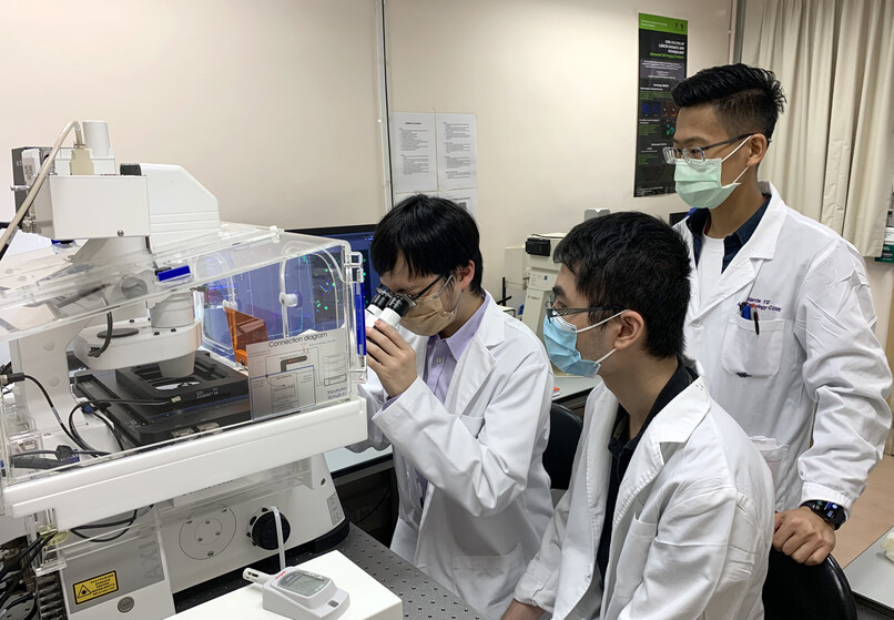 Study by CUHK medical students identifies STK3 kinase as a driver in gastric cancer