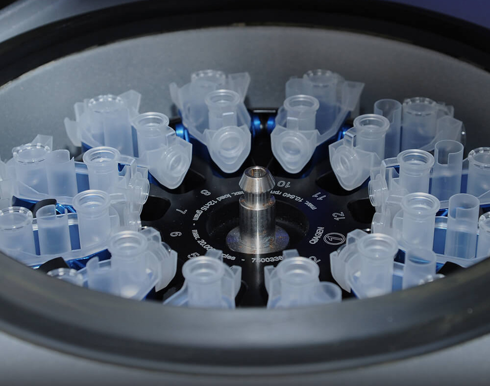 Biomedical Sciences