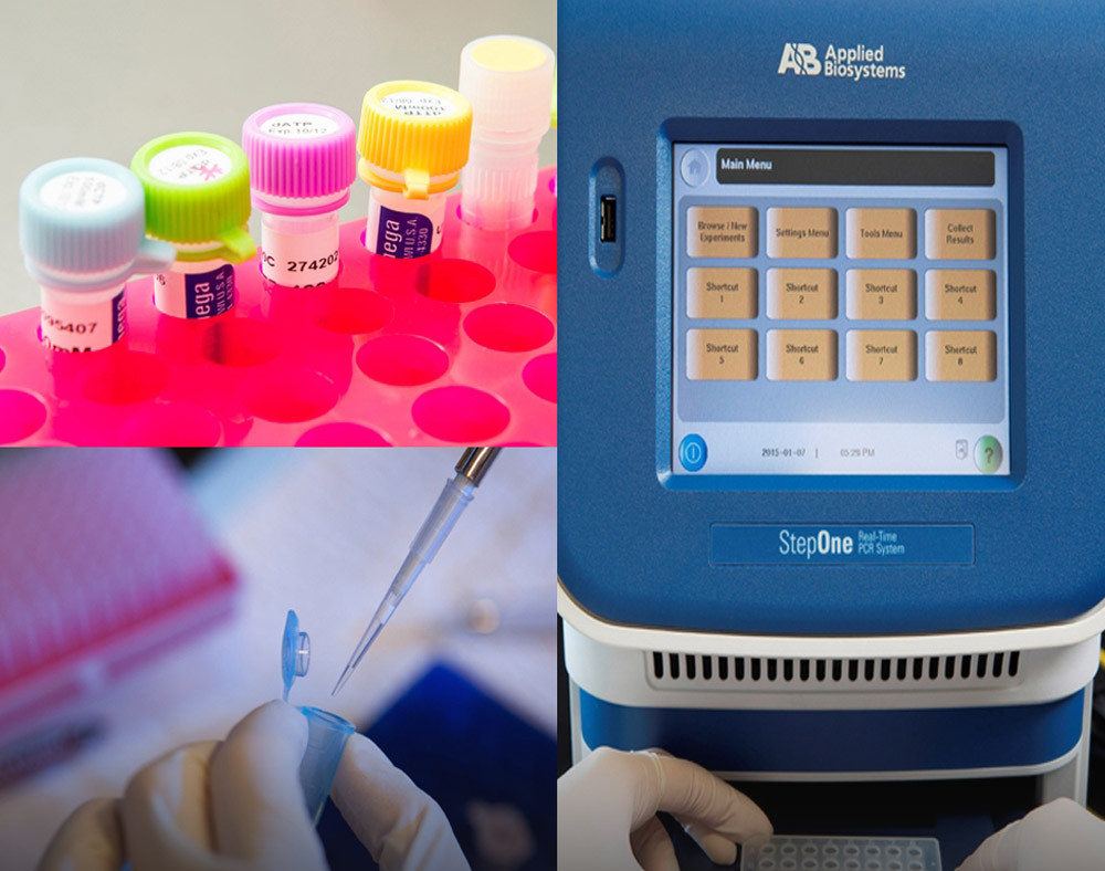 Medical Sciences (Clinical Oncology)