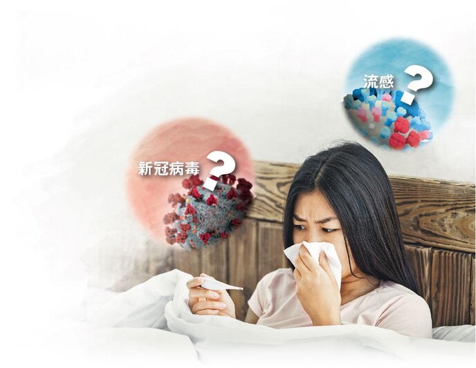 圖1之1 - 病徵相似——流感及新冠病毒有不少重疊病徵，一旦出現雙重感染， . . . . . . （設計圖片，模特兒與本文提及疾病無關，Prostock-Studio@iStockphoto/網上圖片）