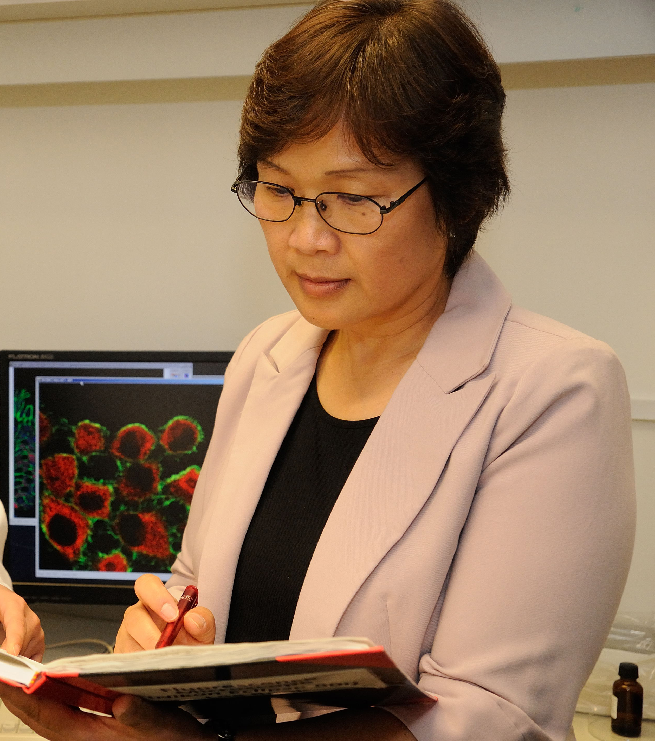 Professor CHAN Hsiao Chang, Professor of Physiology and Director of the Epithelial Cell Biology Research Centre, CUHK