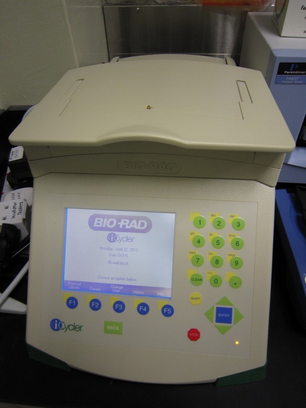 CUHK's Hong Kong's first and new PCR technology is capable of counting CGG repeats up to 900 times, and can precisely distinguish normal (<44 repeats), intermediate (45-54 repeats), pre-mutation (55 – 200 repeats) and full mutation (>200 repeats). It is also a high throughout method and can produce results after one day