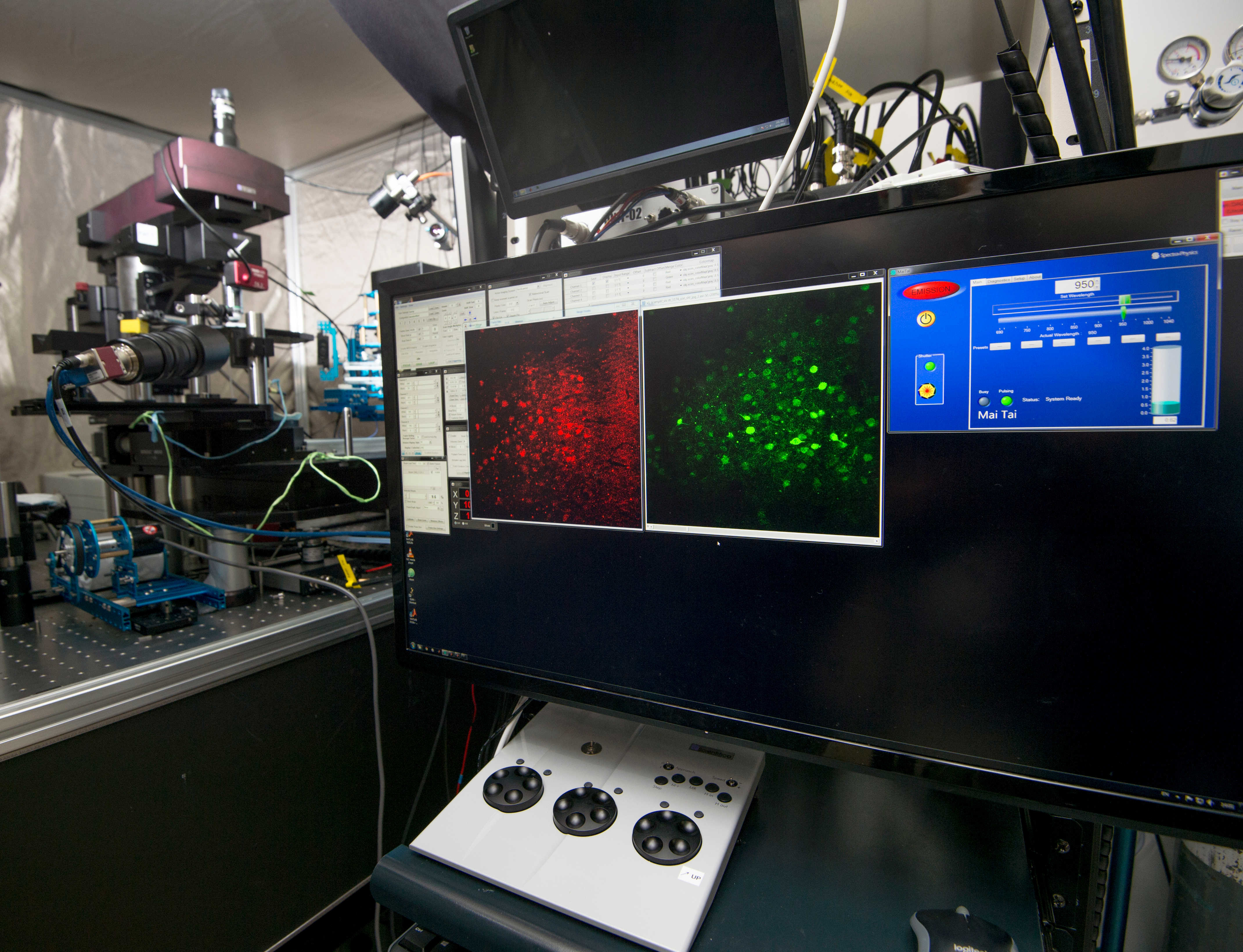中大医学院建造全港首部针对脑小血管病病理研究而特制的「活体多光子显微镜」
