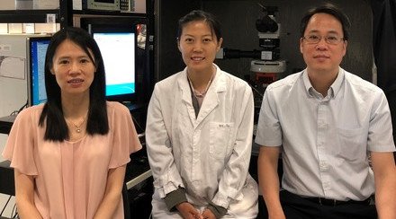 CUHK Study Discovers Pathway That Links to Cognitive Flexibility Dopamine Dysregulation May Lead to Ability Impairment