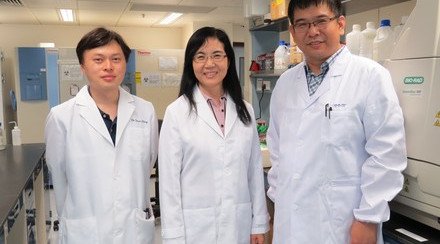 CUHK Discovers an Essential Oncogene in Non-Alcoholic Fatty Liver Disease-Associated Hepatocellular Carcinoma