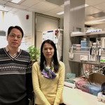 CUHK Study Discovers an Essential Enzyme to Maintain Body Iron Homeostasis Deficiency Could Cause Excessive Iron Retention and Damage Major Organs