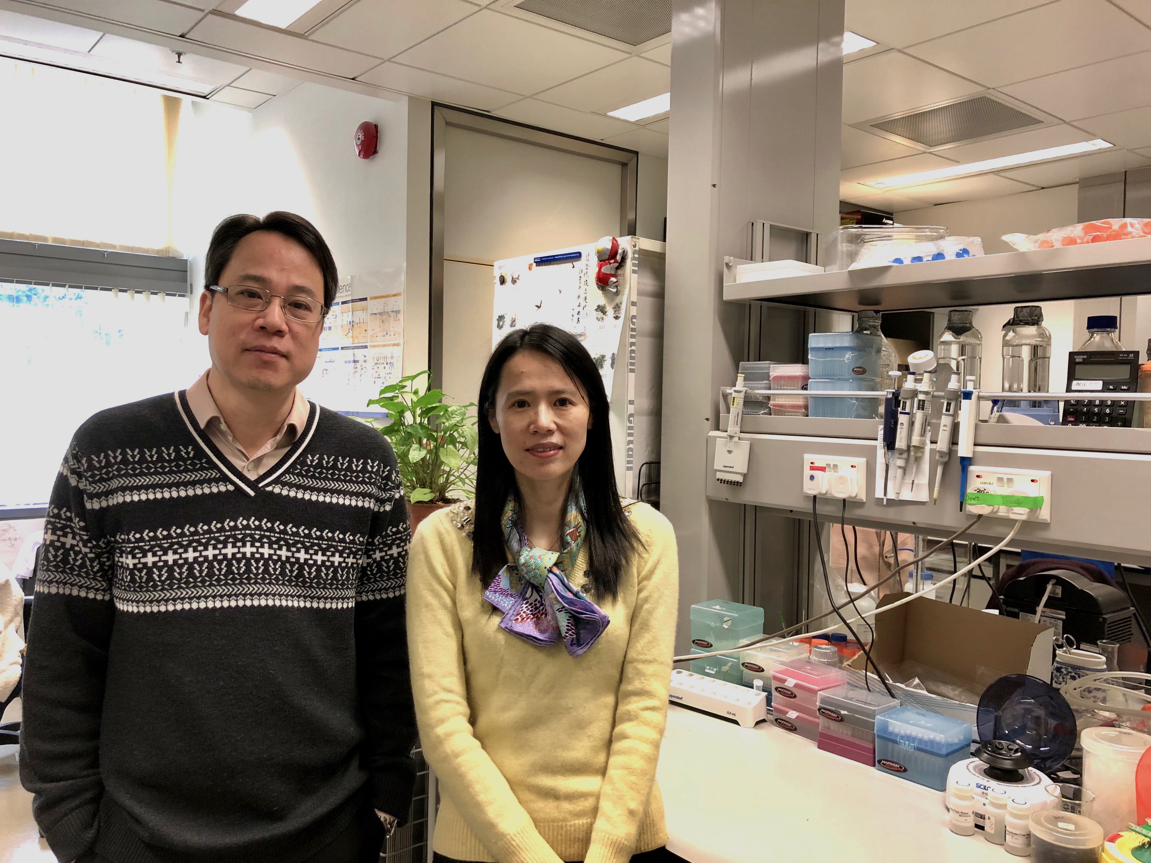 A study led by (right) Prof. Ya KE, Associate Professor of the School of Biomedical Sciences of the Faculty of Medicine at The Chinese University of Hong Kong, discovered that an enzyme called cystathionine β-synthase (CBS) is essential to maintain body iron homeostasis. The results may benefit patients suffering from hemochromatosis due to unknown causes and provide new directions for diagnosis and treatment. Featured on the left is co-investigator Prof. Wing Ho YUNG, Director of the Gerald Choa Neuroscience Centre.