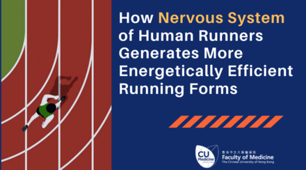 中大聯同理大及西悉尼大學研究發現人體神經系統產生更高效能跑步方法的機制