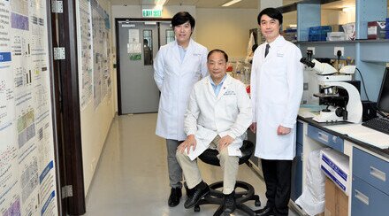 CUHK Uncovers How Immune Cells Turn Bad A New Hope for Kidney Patients