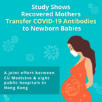 中大研究显示新冠病毒抗体可经母体传至胎儿