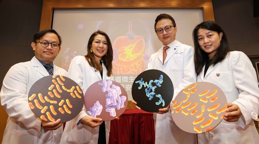 Joint CUHK-HKU study discovers efficacy of COVID-19 vaccines correlates with a probiotic bacterium, Bifidobacterium adolescentis