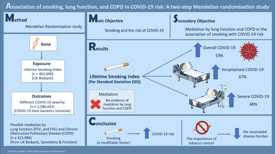 A joint HKU-CUHK study finds that smoking  increases the risk of COVID-19 
