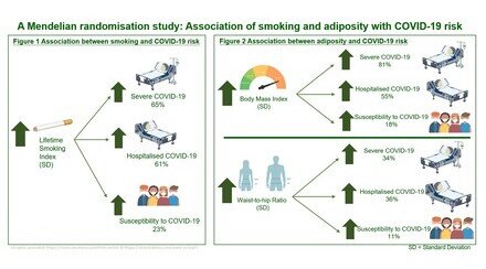 港大及中大醫學院聯合研究證實 吸煙及肥胖令患上重症新冠肺炎的風險增加65%至81%