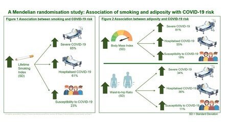 港大及中大医学院联合研究证实 吸烟及肥胖令患上重症新冠肺炎的风险增加65%至81%