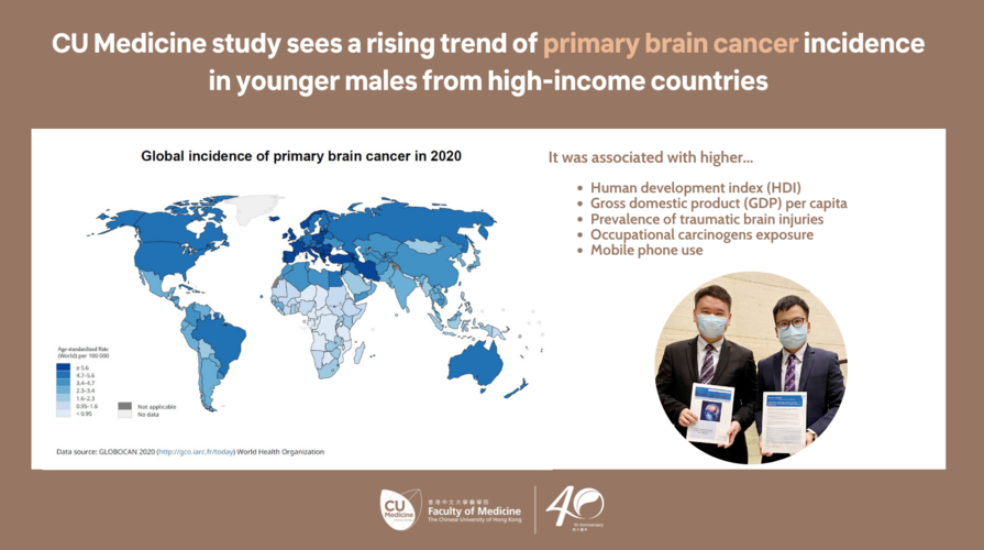 中大发现原发性脑癌的年轻男性发病率上升 以高收入国家的升幅较为显著