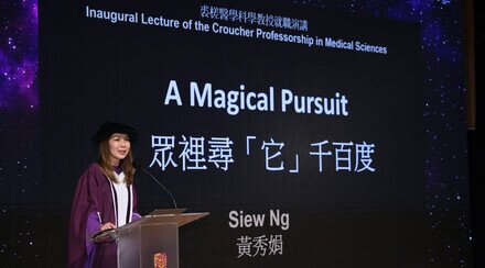 Inaugural Croucher Professorship in Medical Science lecture by Professor Siew Ng:   A Magical Pursuit 