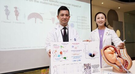 研究揭示在怀孕期间感染2019冠状病毒病 如何对胎盘造成不良影响