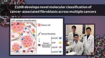 CUHK develops novel molecular classification of cancer-associated fibroblasts across multiple cancers, improving understanding for more targeted treatment