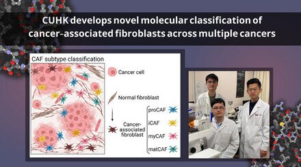 中大開發與多種癌症相關的纖維母細胞分子分類方法  助進一步了解癌症進展並改良治療方案