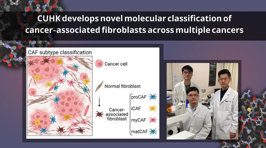 CUHK develops novel molecular classification of cancer-associated fibroblasts across multiple cancers, improving understanding for more targeted treatment
