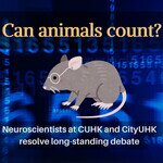 中大城大神經科學專家證實動物擁有數感  解決科學界多年爭論