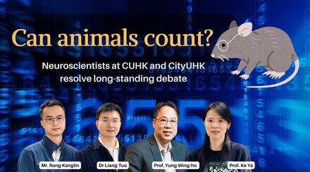 Can animals count?  Neuroscientists at CityUHK and CUHK resolve long-standing debate