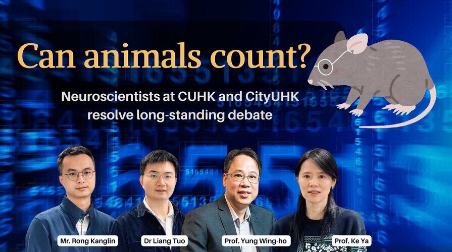 Can animals count?  Neuroscientists at CityUHK and CUHK resolve long-standing debate