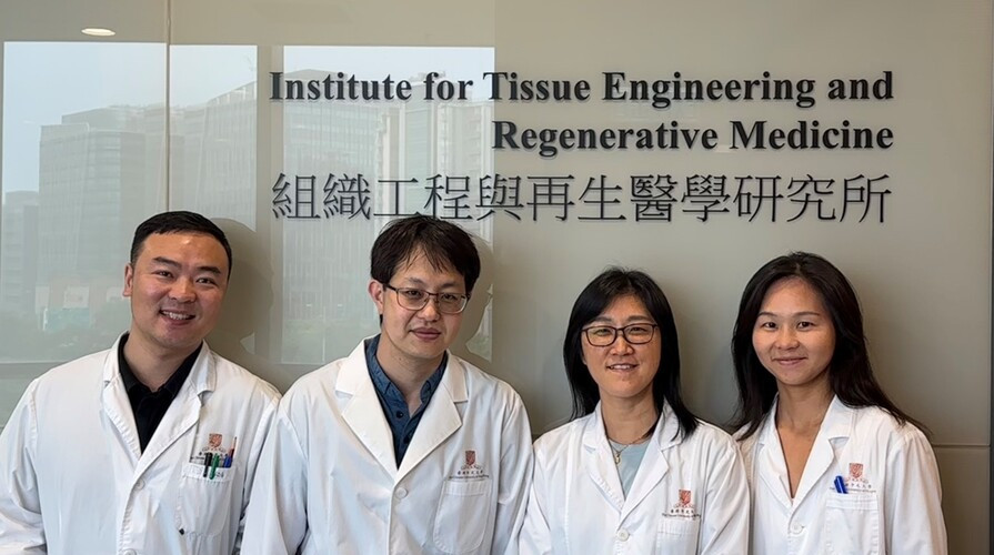 CUHK develops a 3D-printable bioactive material and other technologies to treat large-to-massive tendon injuries