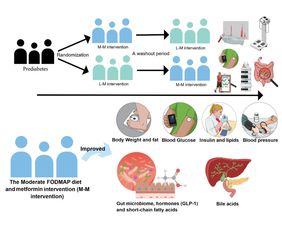 prediabetes individuals