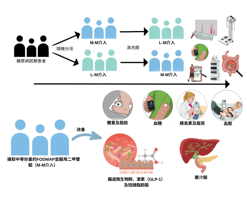 prediabetes individuals