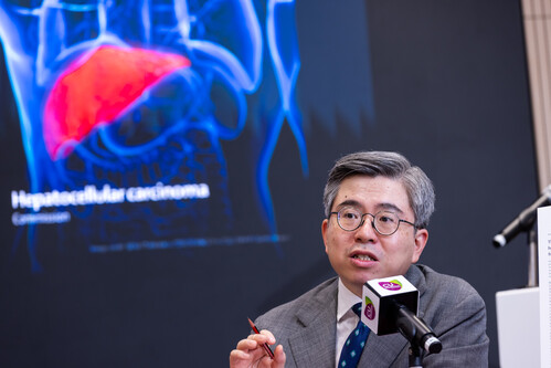 Professor Stephen Chan