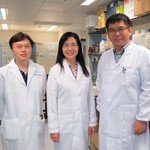 CUHK Research Uncovers the Mechanisms of Liver Cancer Induced by Non-Alcoholic Fatty Liver Disease in Mice