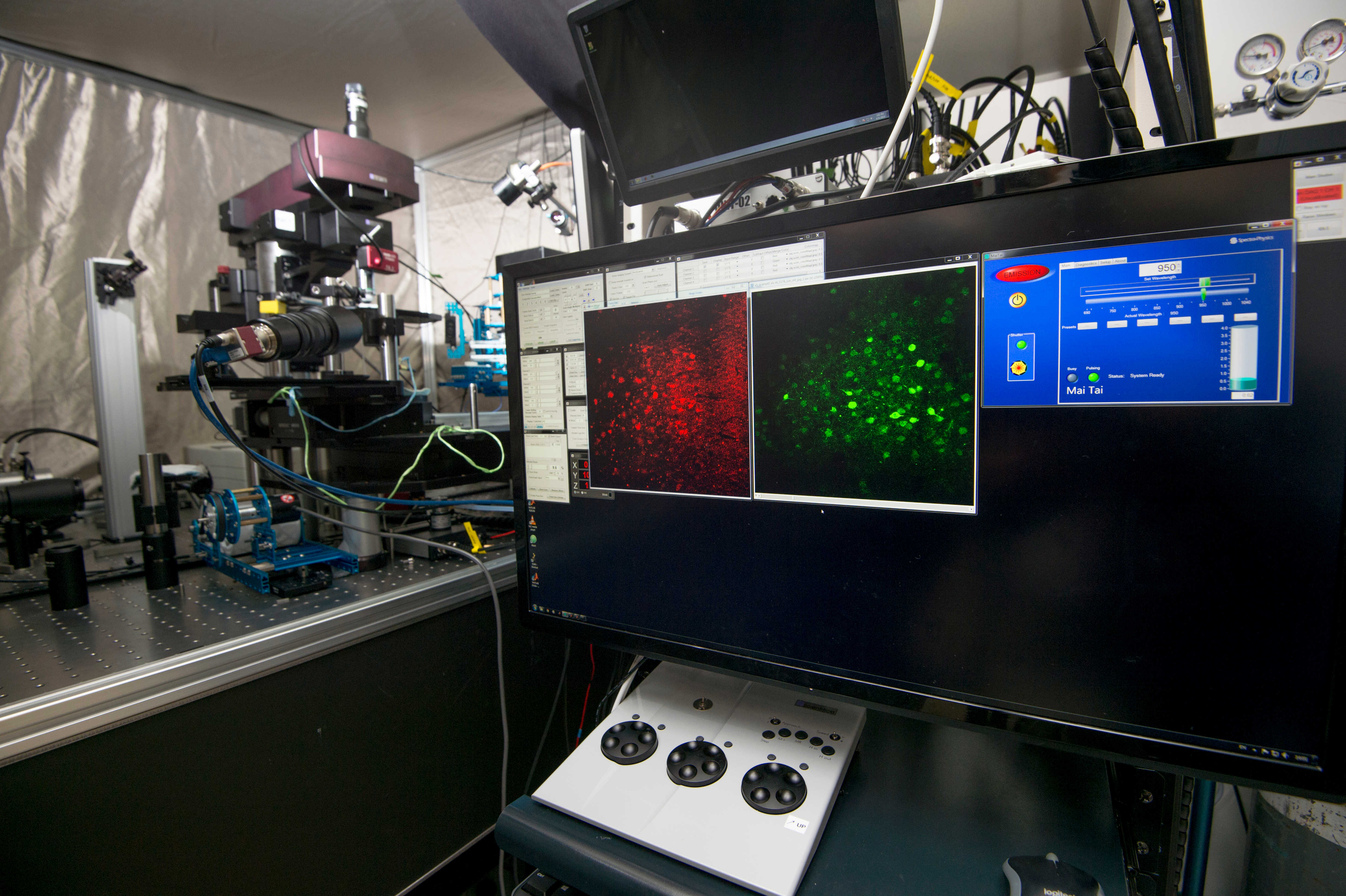The Faculty builts Hong Kong’s first in vivo multiphoton microscope.